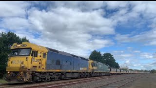 9155 Pacific National Broad Gauge Grain Train At Meredith (20/11/2021)