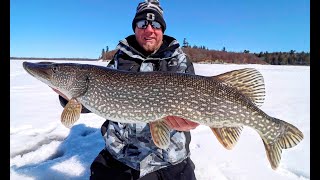 Ice Fishing Tips \u0026 Advantages w/ Brad Hawthorne (Tungsten Buck-Shot)