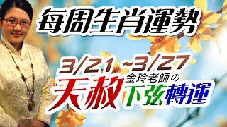 天赦開運 下弦轉運。2022生肖運勢週報｜3/21-3/27｜金玲老師（有字幕）