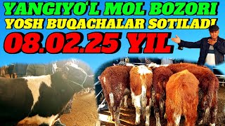 YANGIYOʻL MOL BOZORIDA YOSH BUQACHALAR VA GRINFOR BUQACHALAR SOTILADI 🦬🦬