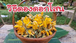 วิธีดองดอกโสน 2 วิธี ง่ายๆ กินกับอะไรก็อร่อย ผักพื้นบ้านช่วงฤดูฝน How to make pickled Snow Flower