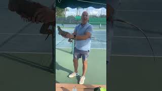 How to remove an iguana from the court
