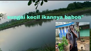 paser mania // ga nyangka !! sungai kecil ikannya babon semua 😍😍