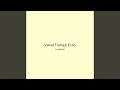 Velvet Tranquil Echo
