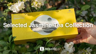 Curious About Our Latest Tea Offerings? Check Out Our Jasmine Tea Sampler!
