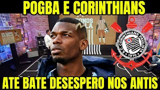 POGBA NO CORINTHIANS TA BATENDO DESESPERO NOS ANTIS ! NOTICIA DO CORINTHIAS DE HOJE !