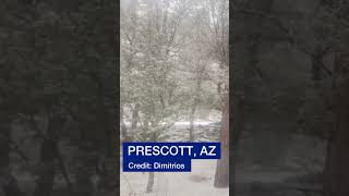 It's snowing in Arizona! ❄️❄️❄️