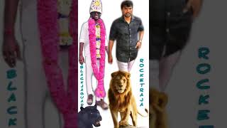 நெல்லை Black jaguar nadar Jacob nadar ஜேக்கப் நாடார் ராக்கெட் ராஜா தம்பி#nadar#rocketraja#selvinnada