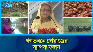 সফল কৃষক প্রধানমন্ত্রী, ঘরে উঠালেন ৪৬ মন পেয়াজ | Prime Minister | Ganabhaban | Rtv News