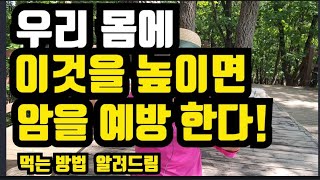 우리몸에 이것을 높여 암을 예방하는 식품이 있다. 어떻게 먹을까?