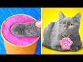 How to Take Care of a Stray Kitten 😻 | Smart Hacks and Tips for Pet Owners 🤩