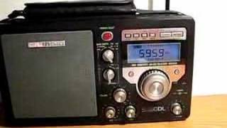 Grundig S350DL W/Slinky Antenna