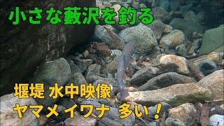 フライフィッシングが難しい藪沢・・の足跡を見つけて釣り終了(ラストに堰堤水中映像）/ フライフィッシング  北海道  / Fly Fishing - Japan