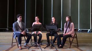 Consort Tourterelles : „Les Amours“