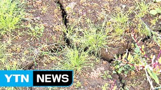 가뭄 대책에 2천 억 추가 투입...'4대강' 활용 / YTN