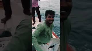 SQUID catch  கனவா தூண்டில் பிடிக்கும் காட்சி