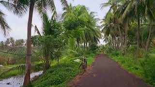 Saripalli Narasapur #narsapuram #westgodavari #nature