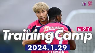 タイキャンプレポート2024【1月29日】-12日目-