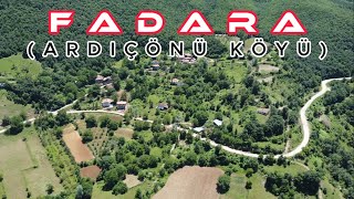 ARDIÇÖNÜ (FADARA KÖYÜ) // KÖYÜMDE KÖYÜM SERİSİ - 5// AMASYA TAŞOVA #keşfet