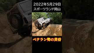 ベテラン勢の黄昏　その７　ランクル７１（HZJ７１V）