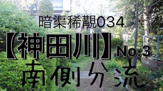 【神田川】No.3 南側分流①【暗渠稀覯034】