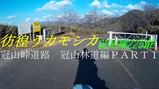 彷徨うカモシカ冠山峠道路冠山林道編PART1【APEMANA66】