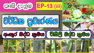 වර්ධක ප්‍රචාරණය | Vegetative Propagation | අංකුර බද්ධ ක්‍රමය | රිකිලි බද්ධ ක්‍රමය |