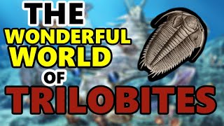 The Wonderful World of Trilobites