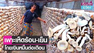 เพาะเห็ดร้อน-เย็นขายรายได้สุดปัง | เรื่องดีดีทั่วไทย | 16-3-66