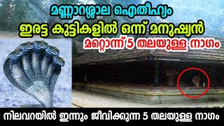 രണ്ടു മക്കളിൽ ഒന്ന് 5 തലയുള്ള നാഗം ഒന്ന് മനുഷ്യൻ | മണ്ണാറശാല ഐതീഹ്യം | നിലവറയും നാഗവും |Mannarasala