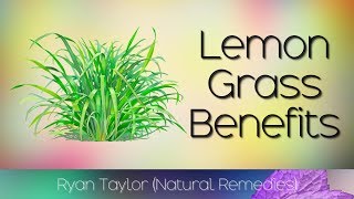 Lemongrass: Benefits and Uses