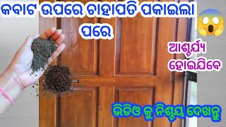 ଚାହାପତି କୁ କବାଟ ରେ ଥରେ ପକାଇ ଦେଖନ୍ତୁ 😱 ବଞ୍ଚିବ ଢେର୍ ପଇସା।kitchen tips odia।hacks।money saving tips।