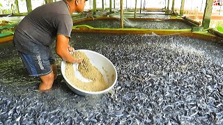 15 Incredibly Efficient Workers You'll Be Mesmerized By
