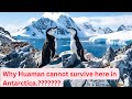 Antarctica: The Ultimate Frozen Adventure