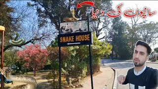 Snake House  | Ayub Park Rawalpindi