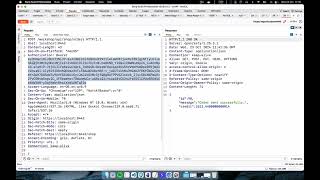OpenApi (JSON) Definition scanning via BurpSuite | OWASP Top 10 API