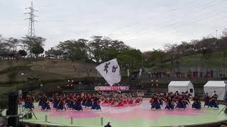 水戸藩YOSAKOI連 [一㐂～駆け抜ける嵐～]・第一部@静峰八重桜まつり2019