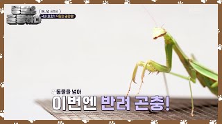 [애니멀 프렌즈] 국내 최초?! 덕질의 끝판왕! [동물은 훌륭하다] | KBS 250210 방송