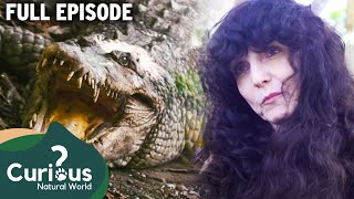She Kept A 300 Pound Apex Predator Alligator In Bed! | Full Episode | Curious? Natural World