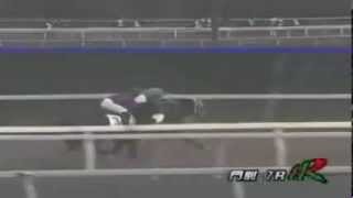 ＪＲＡ認定フレッシュチャレンジ２歳新馬　2013年5月29日　門別競馬　競馬タウン