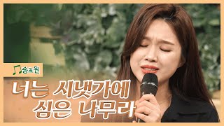 [송포원] ♬ 너는 시냇가에 심은 나무라 (w. 찬양사역자 유은성, 오은)_CBSTV 올포원과 함께하는 찬양시간