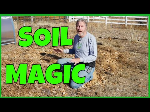How do you fix bad soil?
