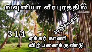 வவுனியா வீரபுரத்தில் 3 1/4 ஏக்கர் காணி விற்பனைக்குண்டு | Vavuniya land for sales  | Vavuniya Land |