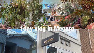 Daily vlog in Tokyo【目黒/祐天寺/中目黒/cafe/中華】