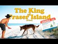 The Dingo | Fraser Island