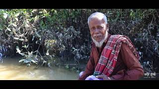 রাতারগুল জলাবন সিলেট | Ratargul Swamp Forest 2020 | Sylhet | PhotoHost