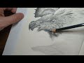 master the art of drawing realistic fur and feathers