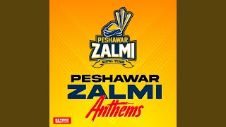 Hum Zalmi