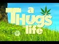 A THUG'S LIFE - YTP