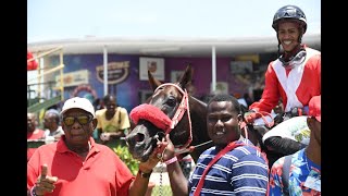 JAMAICA RACING: Storm Valley Wins Sun, June 25, 2023) 2nd